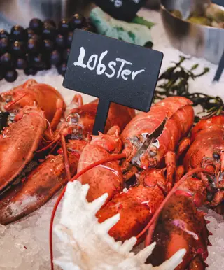Geniesse den besten Lobster der Welt